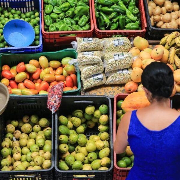 Reforma tributária garantirá imposto zero à cesta básica para famílias trabalhadoras e mais pobres. Entenda o que vai mudar para melhor!